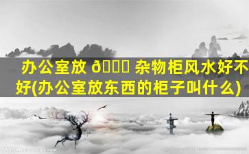 办公室放 🐝 杂物柜风水好不好(办公室放东西的柜子叫什么)